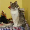 Отзыв от Тамара Алехина